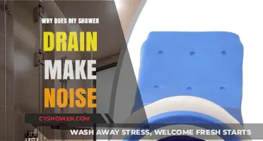 Why Does My Shower Drain Make Noise? Causes and Fixes