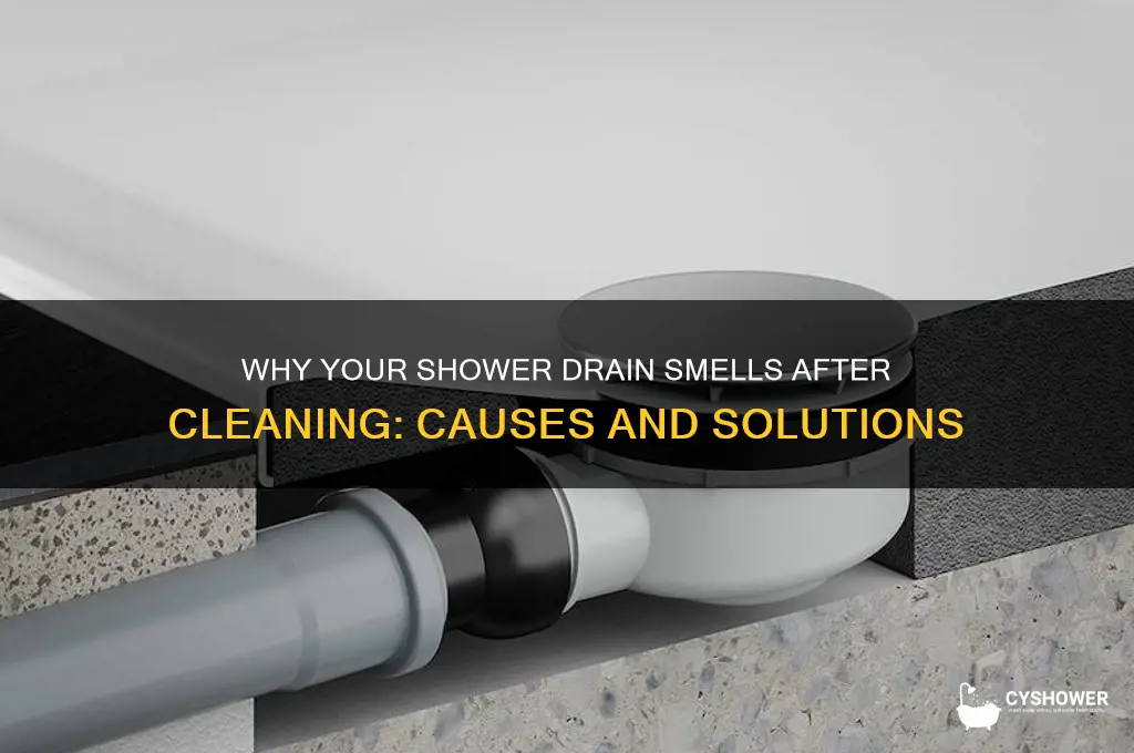why does my shower drain smell after cleaning