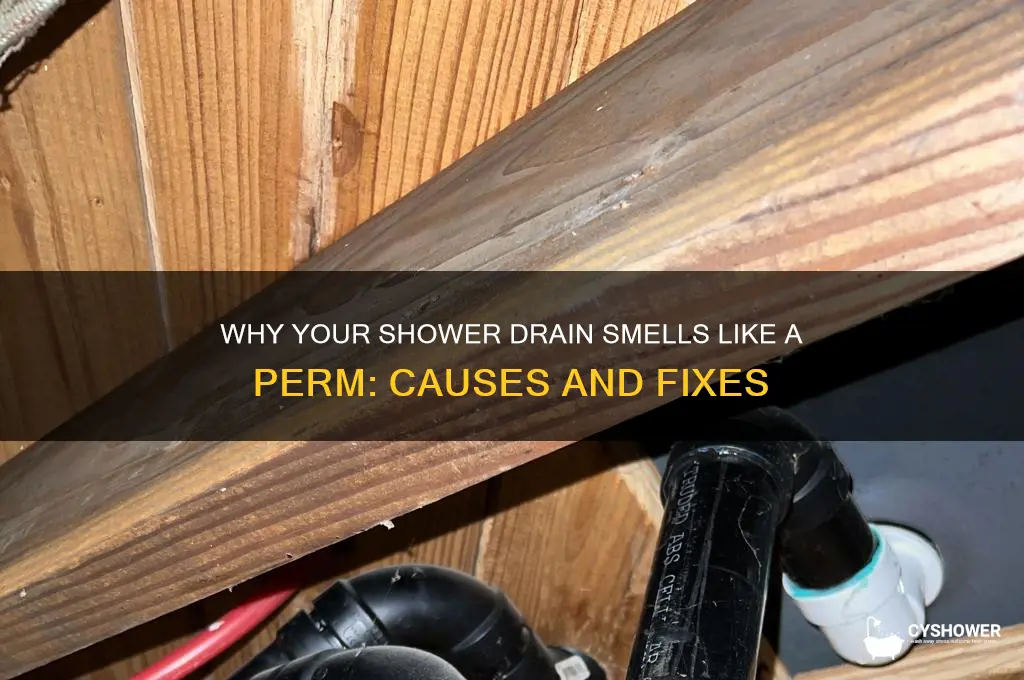 why does my shower drain smell like a perm