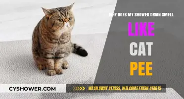 Shower Drain Smelling Like Cat Pee? Causes and Quick Fixes