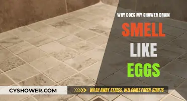 Why Your Shower Drain Smells Like Eggs: Causes and Solutions