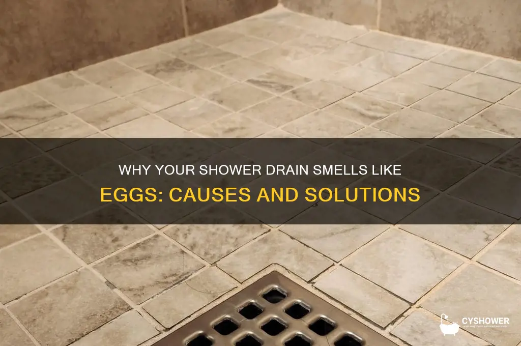 why does my shower drain smell like eggs