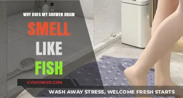 Fishy Shower Drain Odor: Causes and Quick Fixes Explained