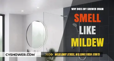 Why Your Shower Drain Smells Like Mildew: Causes and Fixes
