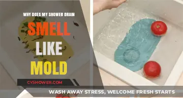 Why Your Shower Drain Smells Like Mold: Causes and Solutions