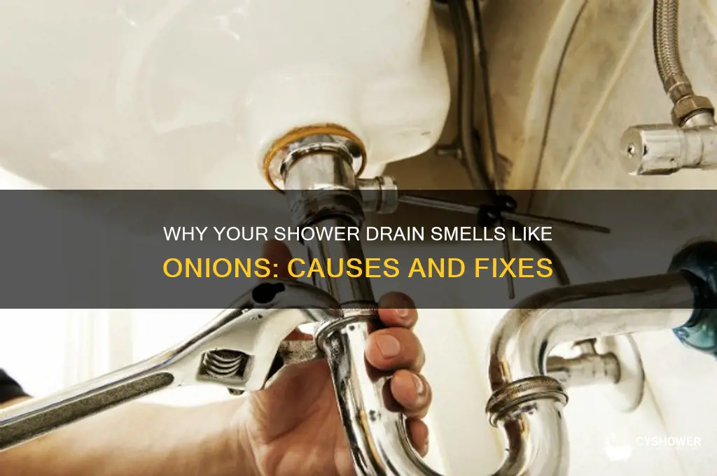 why does my shower drain smell like onions