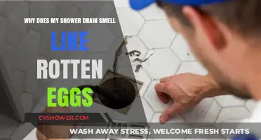 Why Your Shower Drain Smells Like Rotten Eggs: Causes & Fixes