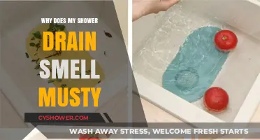 Why Your Shower Drain Smells Musty: Causes and Quick Fixes