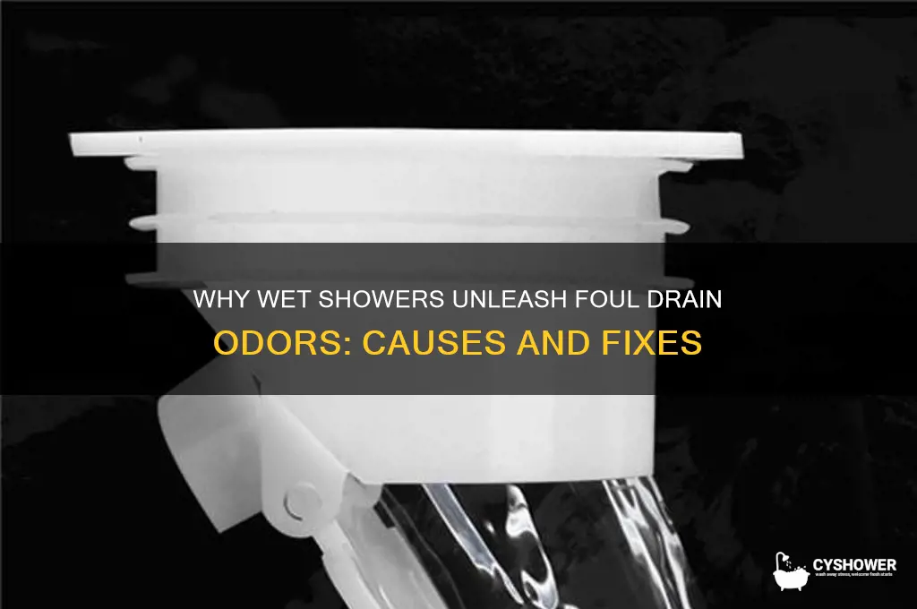 why does my shower drain smell only when wet