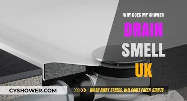 Why Does My Shower Drain Smell? UK Causes & Fixes