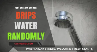 Why Your Shower Drips Randomly: Causes and Quick Fixes