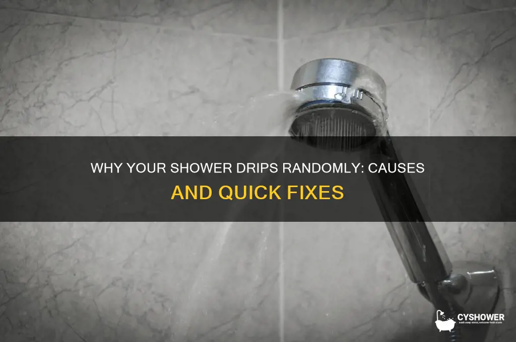 why does my shower drips water randomly