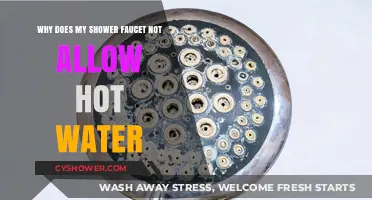 Troubleshooting Shower Faucet Issues: Why No Hot Water Flows?