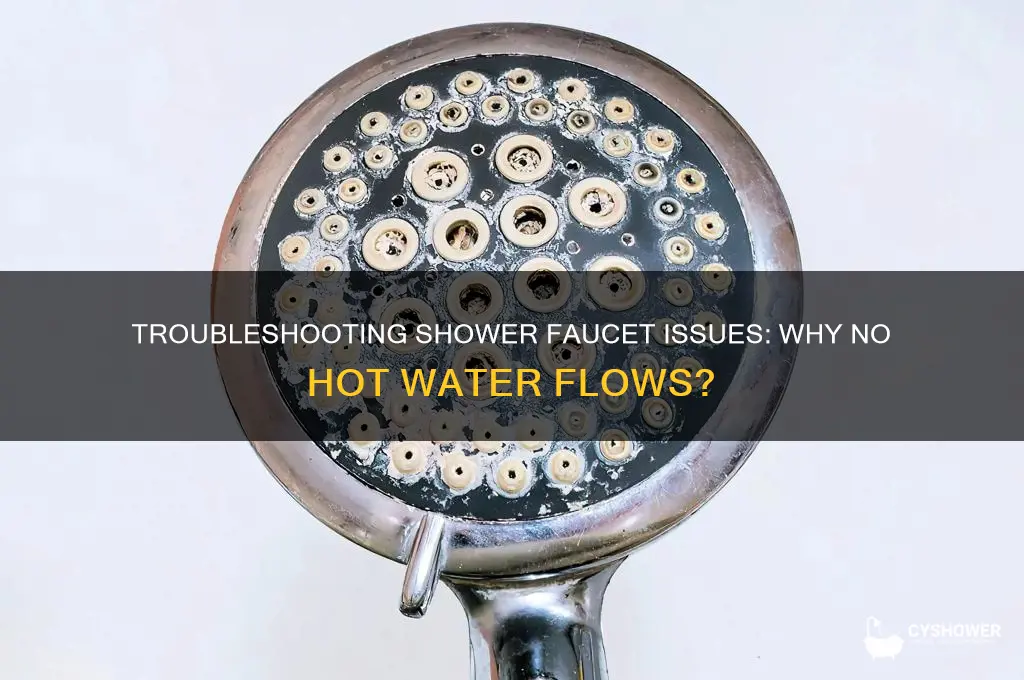 why does my shower faucet not allow hot water