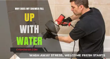 Why Your Shower Fills with Water: Common Causes and Fixes