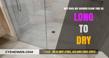 Why Shower Floors Stay Wet: Causes and Quick Drying Solutions