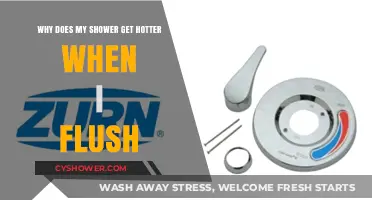Why Flushing the Toilet Makes Your Shower Water Hotter
