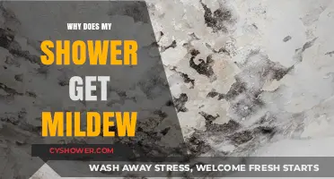 Why Showers Develop Mildew: Causes, Prevention, and Effective Solutions