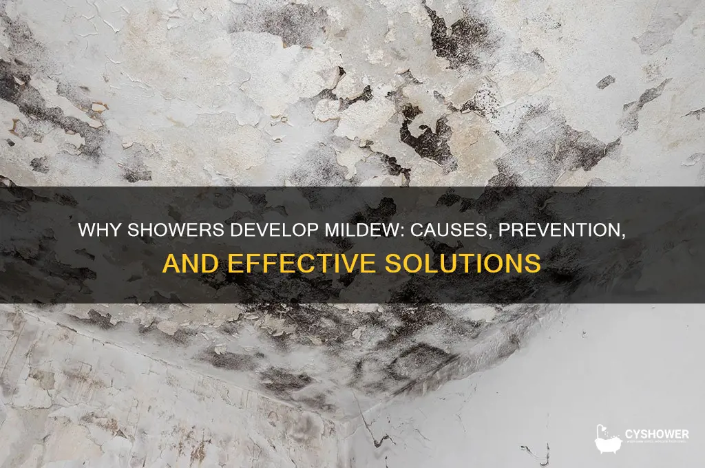 why does my shower get mildew