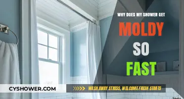 Preventing Mold: Why Showers Get Moldy Quickly and How to Stop It
