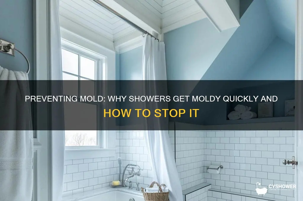 why does my shower get moldy so fast