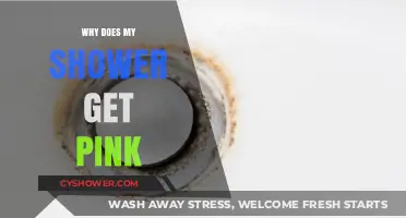 Why Your Shower Turns Pink: Causes and Solutions Explained