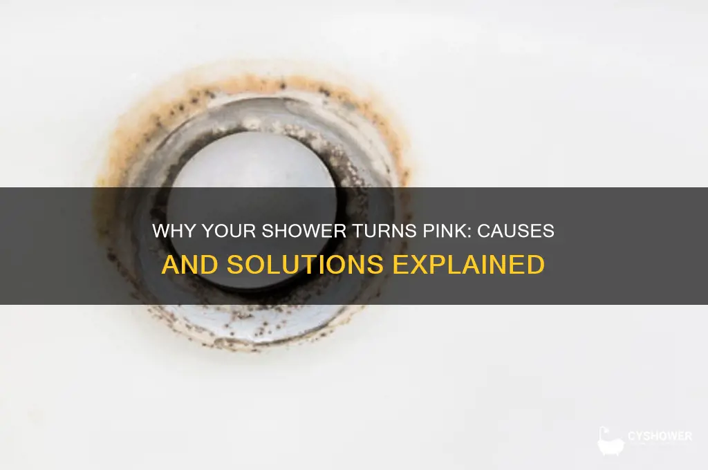 why does my shower get pink