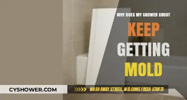 Preventing Mold: Understanding Why Shower Grout Keeps Getting Moldy