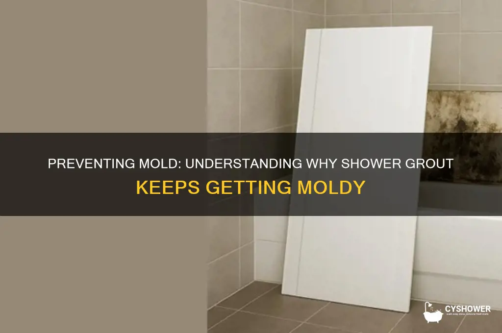 why does my shower grout keep getting mold