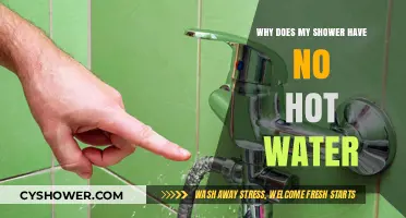 Why Your Shower Has No Hot Water: Common Causes and Fixes