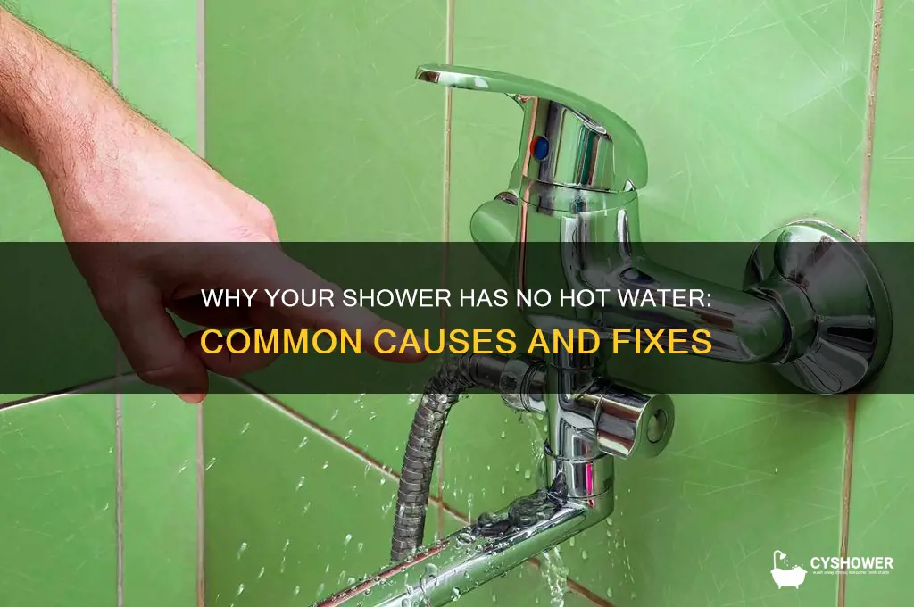 why does my shower have no hot water