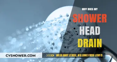 Why Your Shower Head Drains: Causes and Quick Fixes