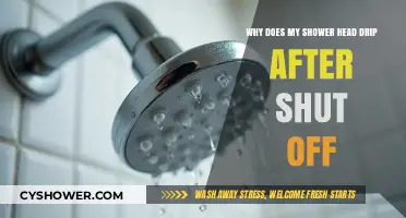 Why Your Shower Head Drips After Shut Off: Causes and Fixes