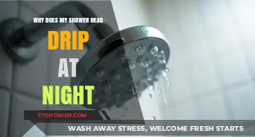 Why Your Shower Head Drips at Night: Causes and Fixes