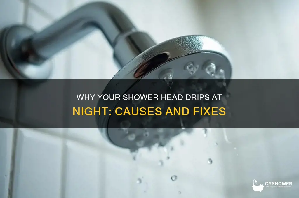 why does my shower head drip at night