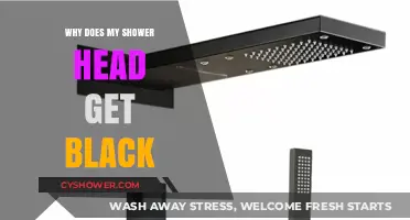 Why Does My Shower Head Turn Black? Causes and Solutions
