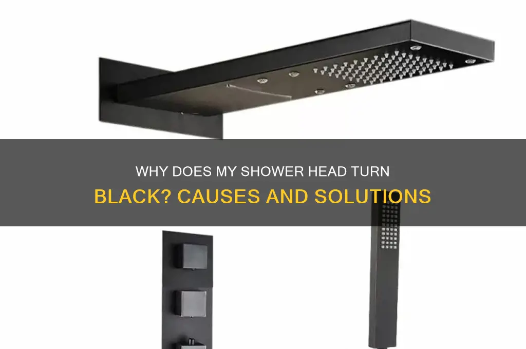 why does my shower head get black