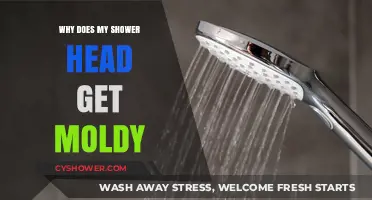 Preventing Moldy Shower Heads: Causes and Effective Cleaning Solutions