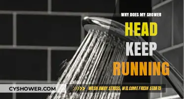 Why Your Shower Head Keeps Running: Common Causes and Fixes