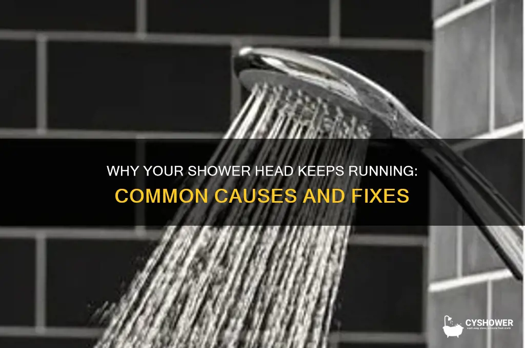 why does my shower head keep running