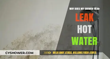 Why Your Shower Head Leaks Hot Water: Causes and Fixes