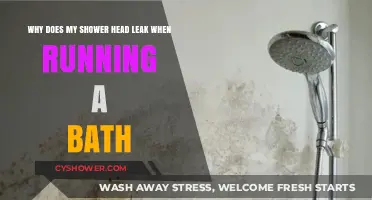 Why Your Shower Head Leaks When Running a Bath: Solutions