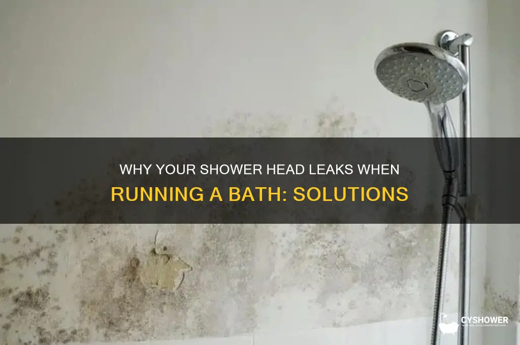 why does my shower head leak when running a bath