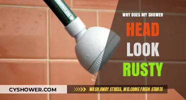 Rusty Shower Head? Causes, Solutions, and Prevention Tips Explained