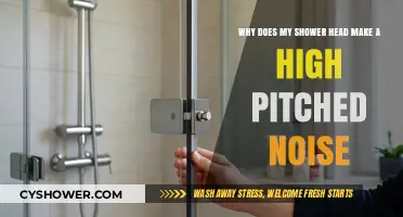 Why Does My Shower Head Make a High-Pitched Noise?