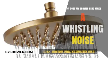 Why Your Shower Head Whistles: Causes and Quick Fixes