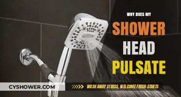 Why Does My Shower Head Pulsate? Causes and Quick Fixes
