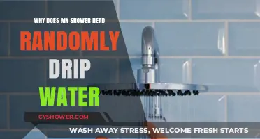 Why Your Shower Head Randomly Drips: Causes and Fixes