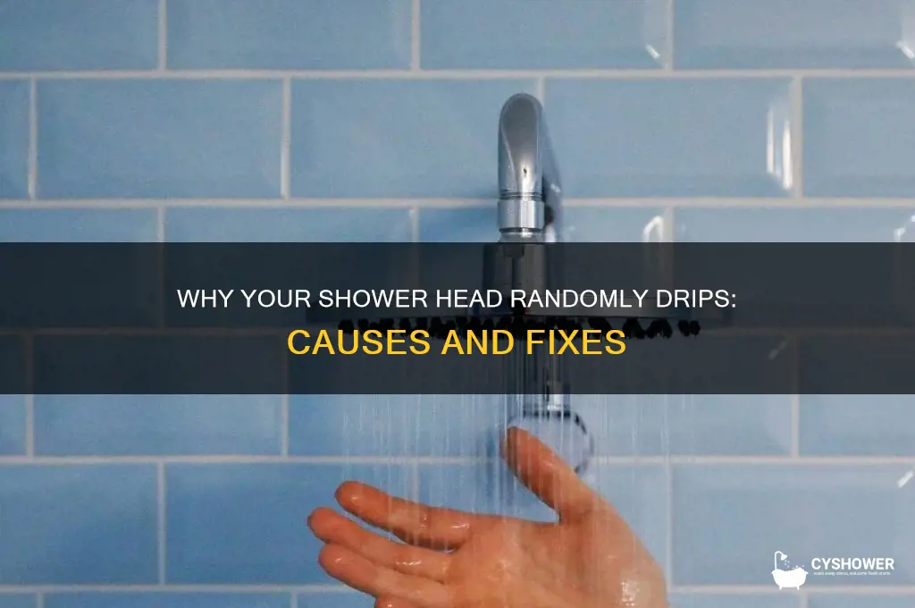 why does my shower head randomly drip water