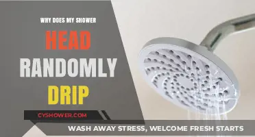 Why Your Shower Head Randomly Drips: Causes and Fixes